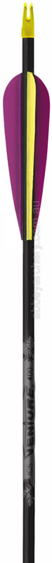Beman ICS Venture Arrows Dozen image